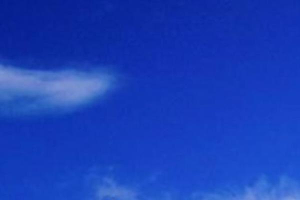 Twenty Seventeen theme site design template sample