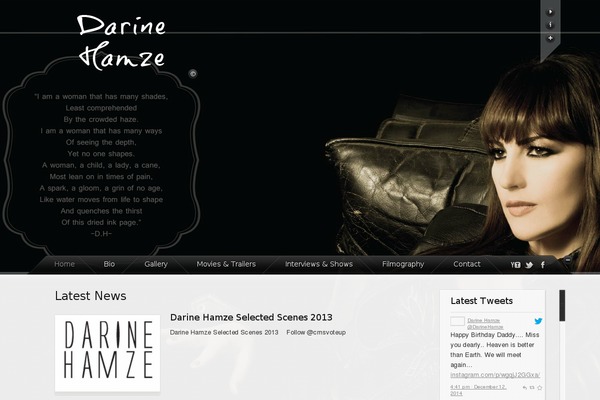 darinehamze.com site used Dt-depth