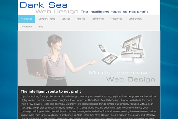 WordPress website example screenshot