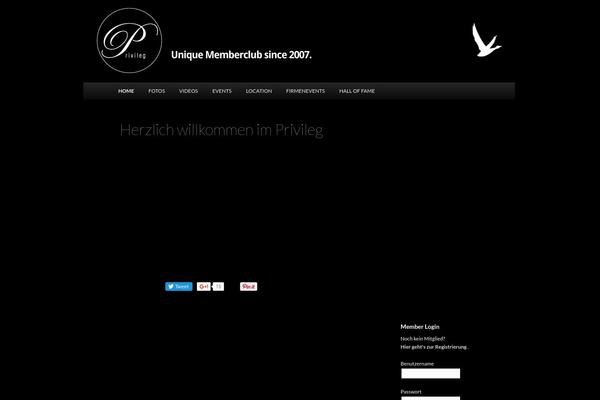 Twenty Eleven theme site design template sample