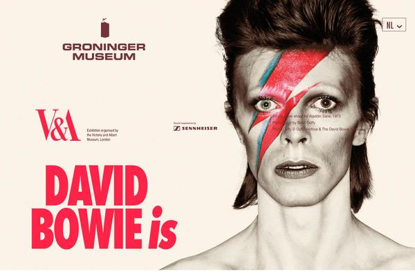 davidbowie-groningen.nl site used Davidbowie