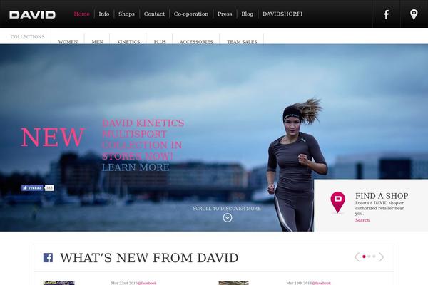 David theme site design template sample