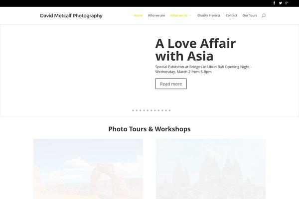 Divi theme site design template sample