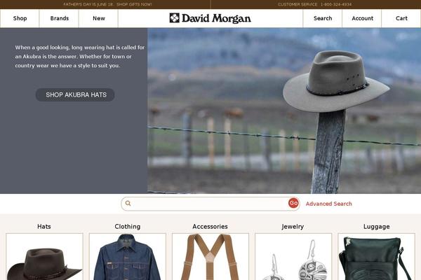 davidmorgan.com site used Davidmorgan
