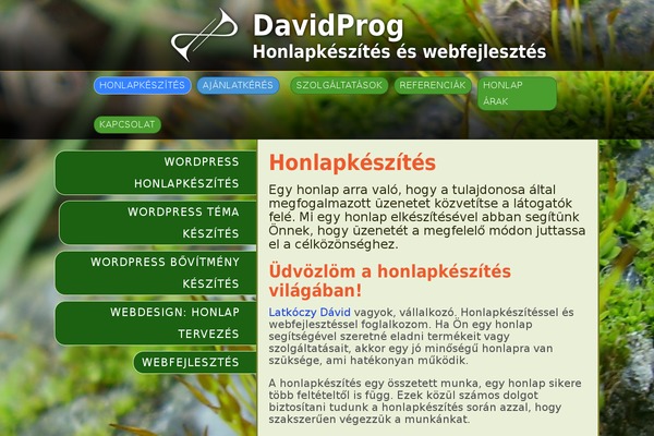 WordPress website example screenshot