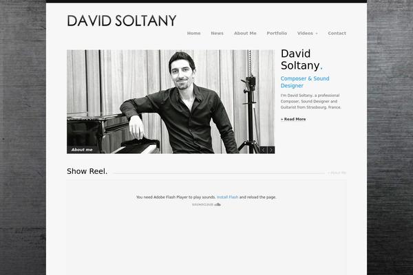 David theme site design template sample