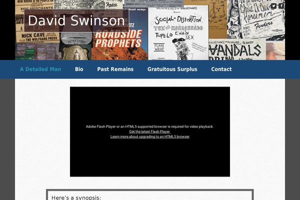 davidswinson.com site used Book Landing Page