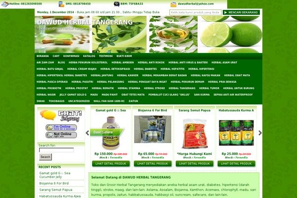 Indostore4-2client theme site design template sample