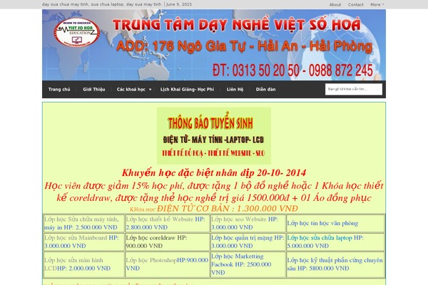 daynghehaiphong.net site used Litado
