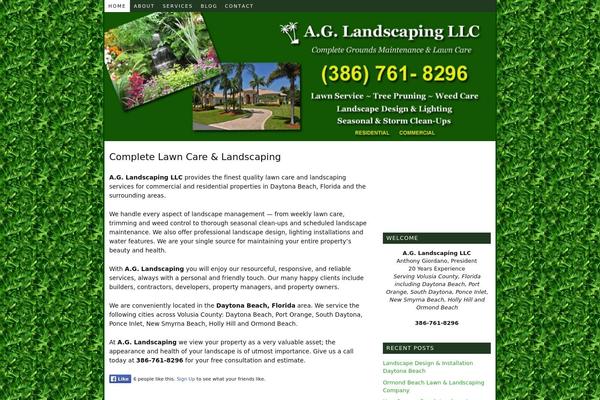 WordPress website example screenshot