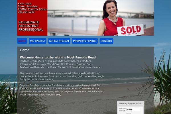 rocketbuilder theme websites examples