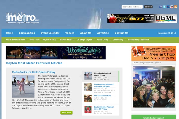Platinum theme site design template sample