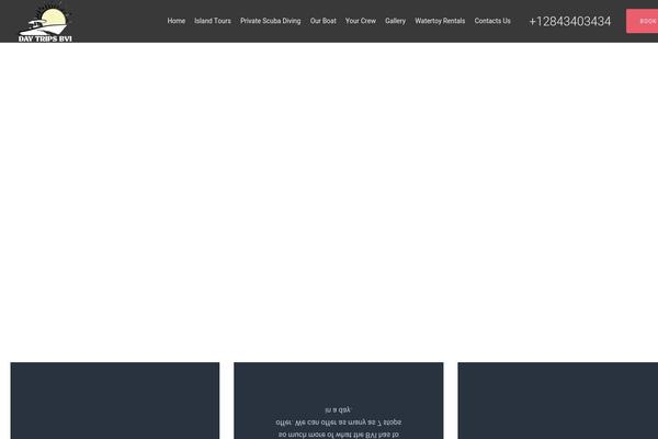 Surfy theme site design template sample