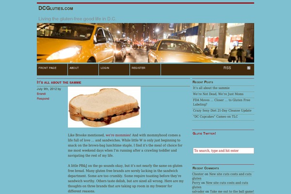 WordPress website example screenshot