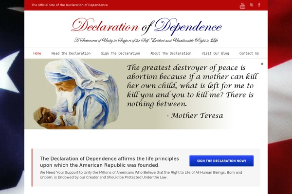 Avada theme site design template sample