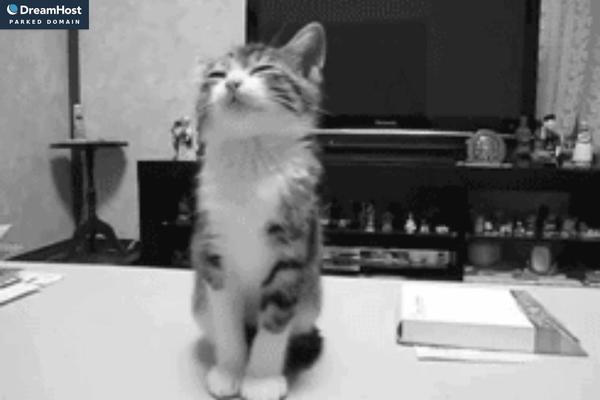 Site using Uncode-privacy plugin