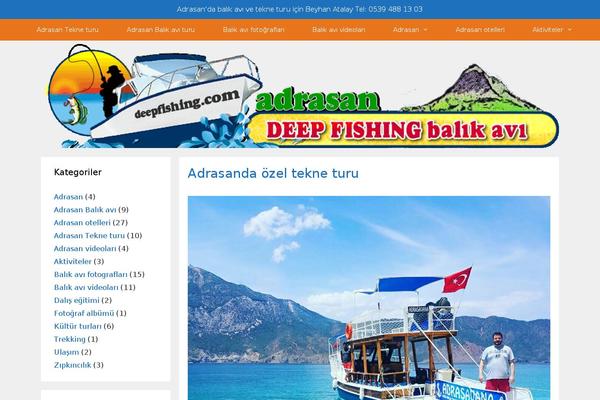 Site using Responsive Lightbox by dFactory plugin