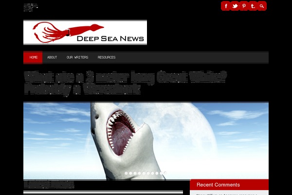 deepseanews.com site used Deepseanews