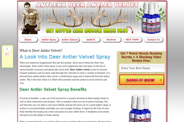 Thesis 1.8.5 theme site design template sample