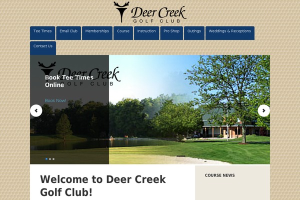 Site using Widget-google-reviews plugin