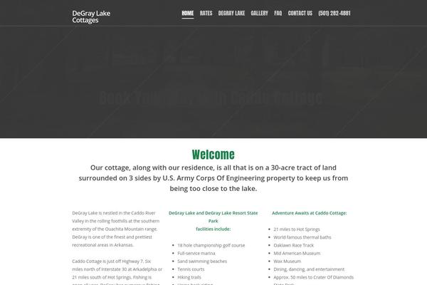 Salient theme site design template sample