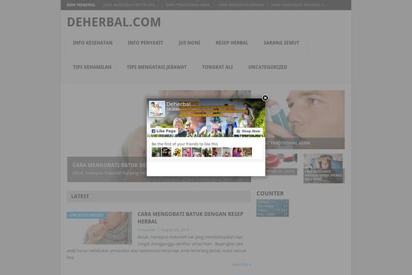 Point theme site design template sample