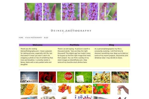 Thesis 1.8.5 theme site design template sample