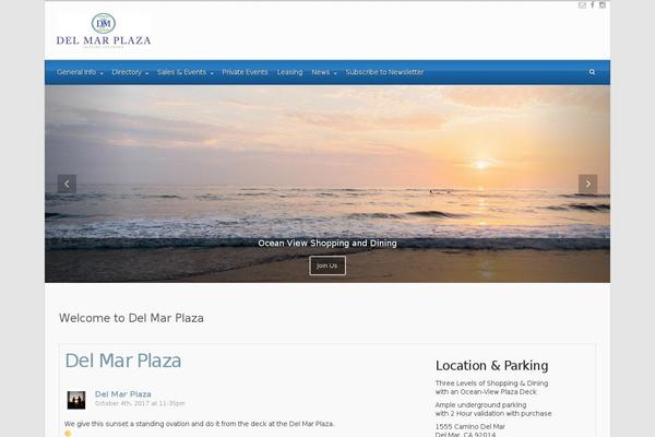 delmarplaza.com site used Raindrop