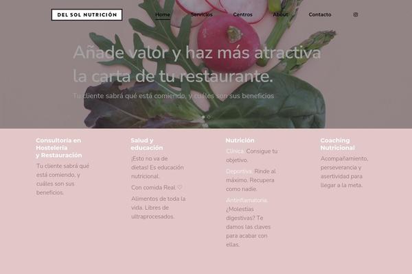 Salient theme site design template sample