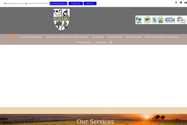 Avada theme site design template sample