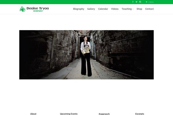 Divi theme site design template sample