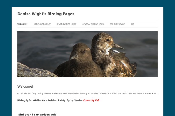 WordPress website example screenshot