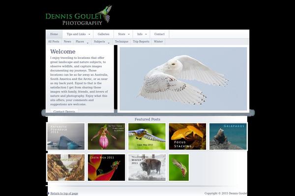 Site using Nextgen-gallery-pro plugin