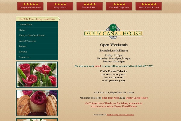 depuycanalhouse.com site used Depuy