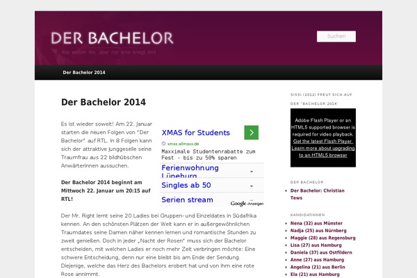 WordPress website example screenshot