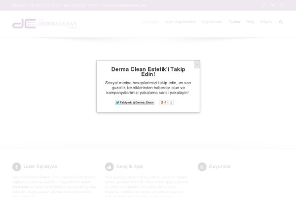 Avada theme site design template sample