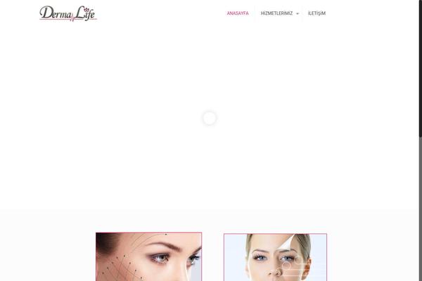 Site using Easy Facebook Like Box plugin