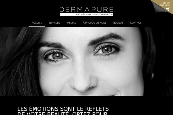 cake-base WordPress theme, websites list used cake-base theme cake-base theme websites examples