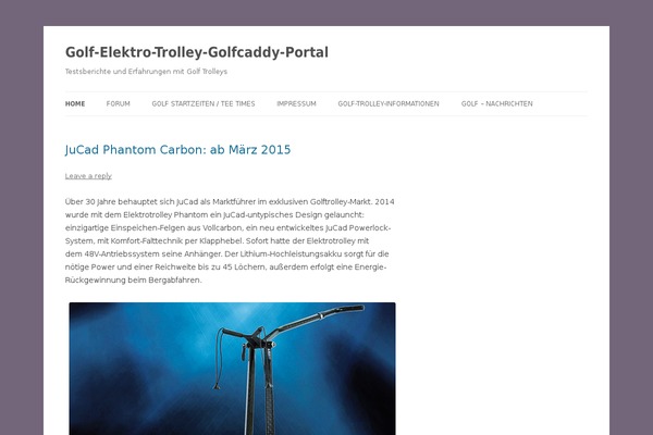 Twenty Twelve theme site design template sample