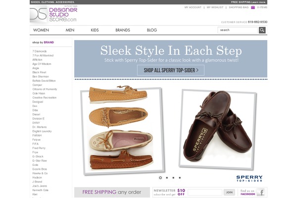 dss theme websites examples