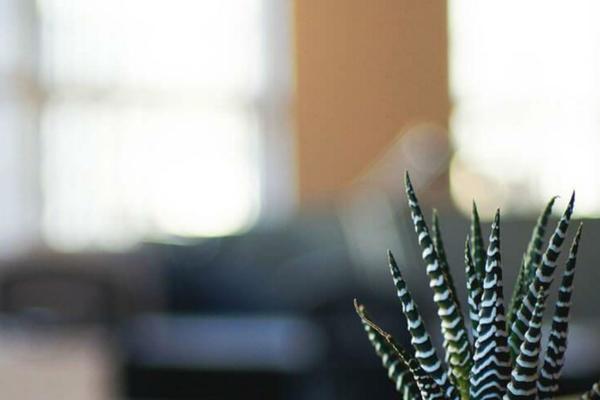 Twenty Seventeen theme site design template sample