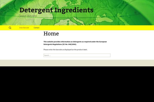 Twenty Thirteen theme site design template sample