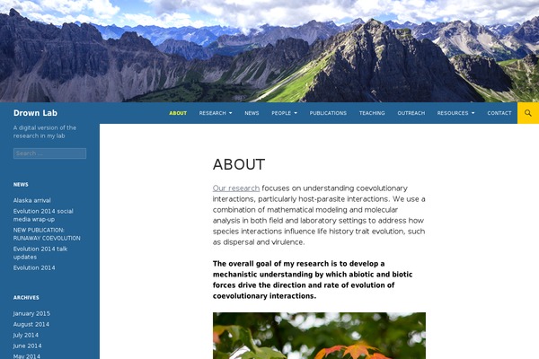 Twenty Fourteen theme site design template sample