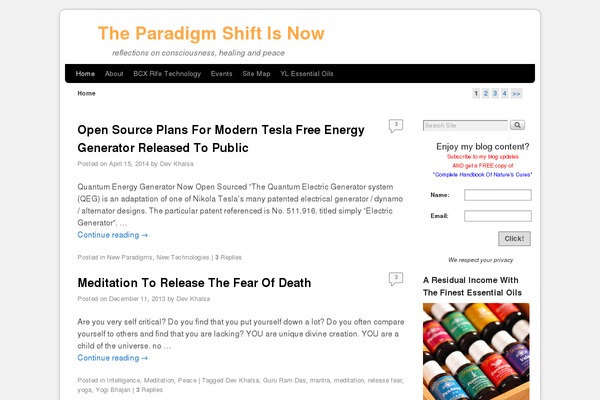 WordPress website example screenshot
