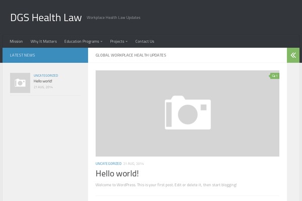 Hueman theme site design template sample