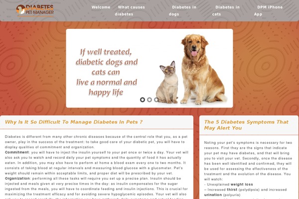 roen-child WordPress theme, websites list used roen-child theme roen-child theme websites examples