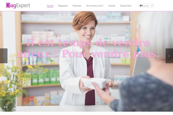 Bridge theme site design template sample