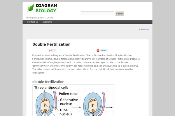 diagrambiology.com site used Catch Box
