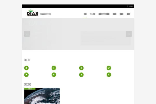 diasjp.net site used Diasjp