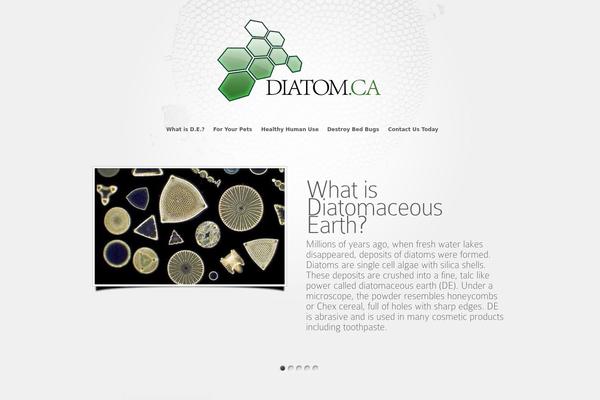 Diatom theme websites examples